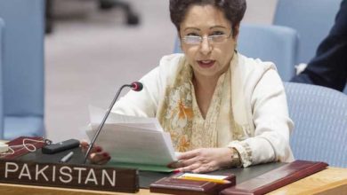 Maleeha Lodhi