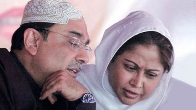 Asif Zardari, Faryal Talpur, FIA, NAB,