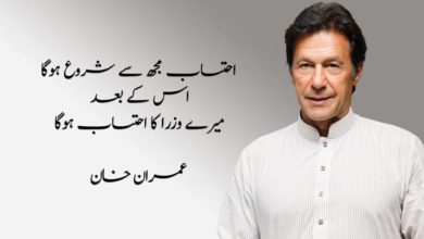 Imran Khan - Agenda