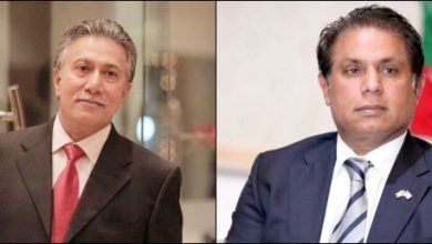Malik Imtiaz Ali, Zulqarnain Ali Khan, PTI