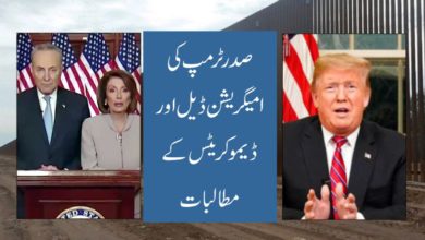 Trump, Nancy Pelosi