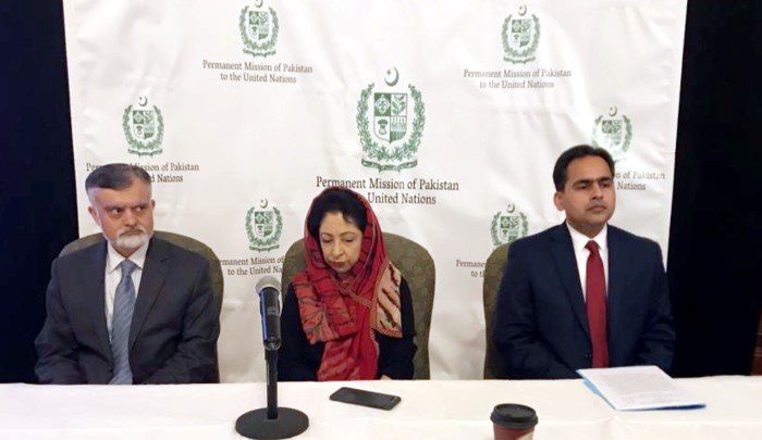 Maleeha Lodhi, Kashmir Day