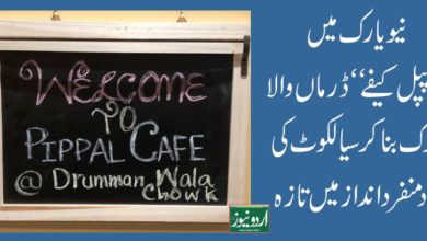 Anwar Wasti Pippal Cafe New York 2