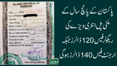 Pakistani Visa Fees