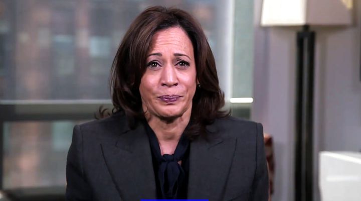 Vice President Kamala Harris