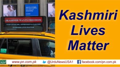 Kahsmiri lives matter, Yellow cabs ads in New York