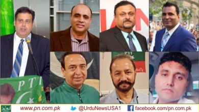 Overseas Pakistanis and PTI USA