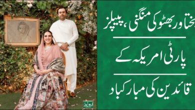 Bakhtawar Bhutto, Mahmood Chaudhry