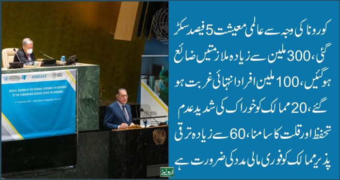 Munir Akram, ECOSOC