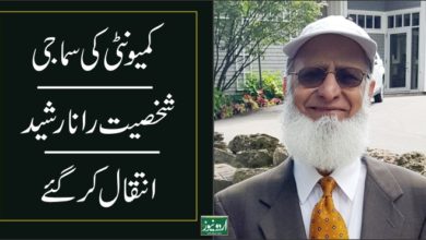 Rana Rasheed New York