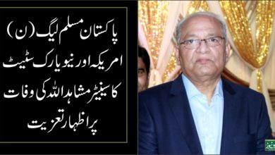 Mushahid Ullah