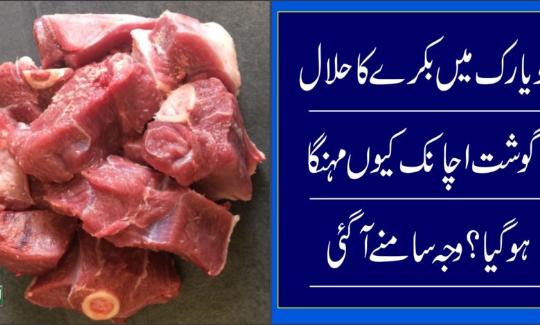 Halal Goat Meat