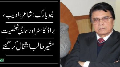 Mushir Talib
