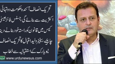 Walid Iqbal, PTI New York