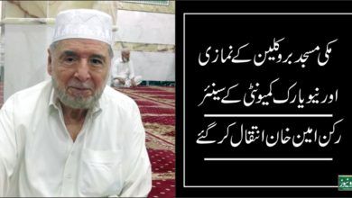Ameen Khan Brooklyn, New York