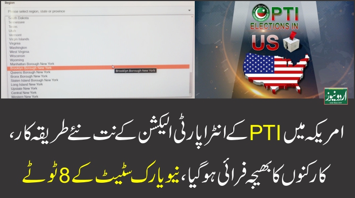 PTI USA Intraparty elections 2021