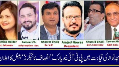 Amjad Nawaz, PTI New York Insaf Tigers Panel