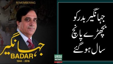 jahangir badar, ppp usa