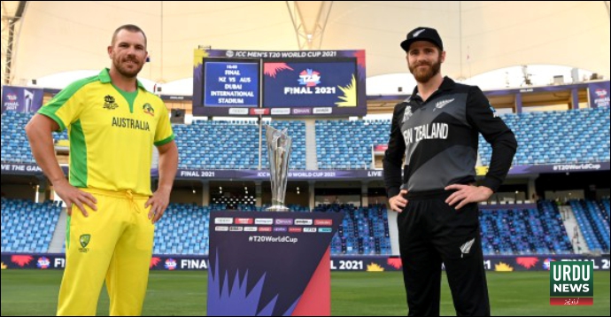 T20, Aus vs New Zealand