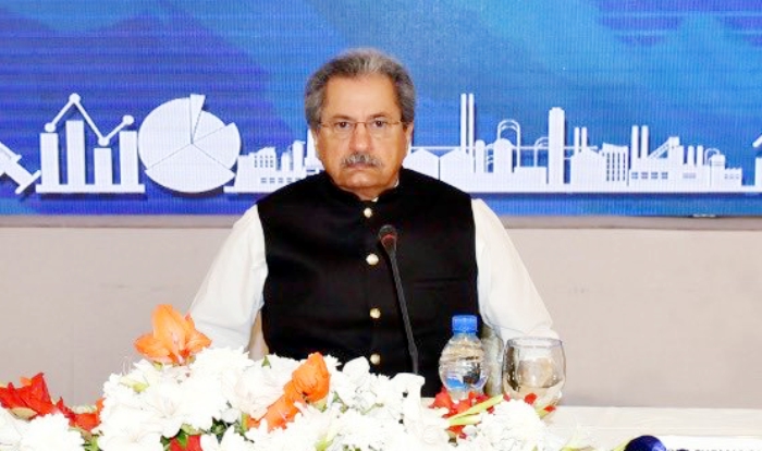 Shafqat Mahmood, PTI