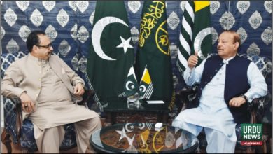Barrister Sultan Mahmood, Sardar Tanveer Ilyas