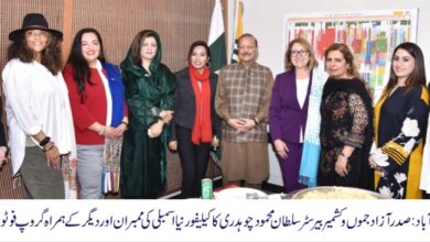 California State Assembly Delegation Meets President AJK Barrister Sultan Mahmood Chaudhry