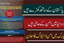 امریکن پاکستانی پبلک افئیرز کمیٹی ( اے پی پیک۔APPAC)