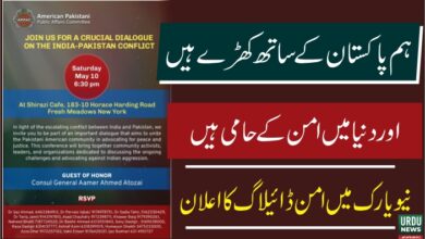 امریکن پاکستانی پبلک افئیرز کمیٹی ( اے پی پیک۔APPAC)