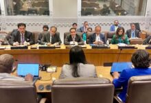 پاکستانی پارلیمانی وفد کی اقوام متحدہ کی سلامتی کونسل کی صدرکے پاس پہنچ گیا