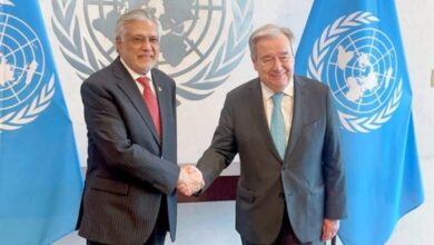 اسحاق ڈار کی اقوام متحدہ کے سیکرٹری جنرل سے اہم ملاقات ،