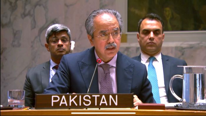 سفیر عاصم افتخار احمد