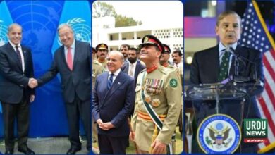 نیویارک میں اقوام متحدہ کی جنرل اسمبلی کا 80واں اجلاس ایک بڑی سفارتی سرگرمی بننے جا رہا ہے۔ وزیر اعظم شہباز شریف کی عالمی رہنماو¿ں سے ملاقاتوں کے ساتھ ساتھ سابق امریکی صدر ڈونلڈ ٹرمپ سے ملاقات کے امکانات بھی ظاہر کیے جا رہے ہیں