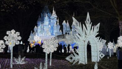 Fantasy Winter Fairyland lights up Long Island, LuminoCity