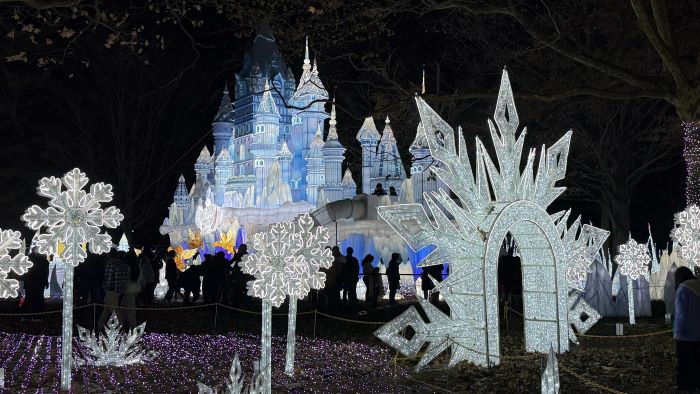 Fantasy Winter Fairyland lights up Long Island, LuminoCity