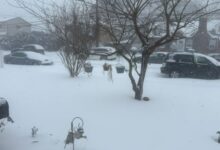 امریکہ میں شدید سردی کی لہر، دو ہلاکتیں، 23 ریاستوں میں ایمرجنسی نافذ