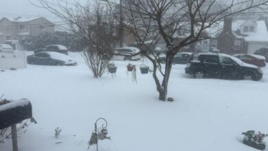 امریکہ میں شدید سردی کی لہر، دو ہلاکتیں، 23 ریاستوں میں ایمرجنسی نافذ