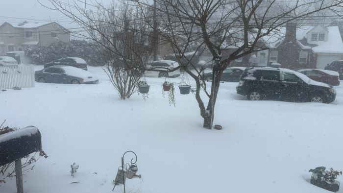 امریکہ میں شدید سردی کی لہر، دو ہلاکتیں، 23 ریاستوں میں ایمرجنسی نافذ