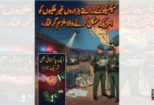 میکسیکو کے راستے ہزاروں غیر ملکیوں کو امریکہ سمگل کرنے والا ملزم گرفتار، ایک پاکستانی بھی شریک جرم !
