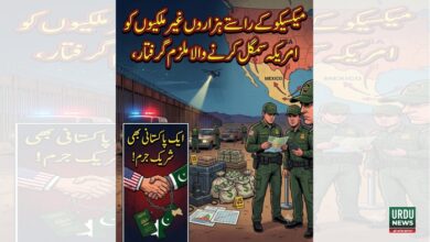 میکسیکو کے راستے ہزاروں غیر ملکیوں کو امریکہ سمگل کرنے والا ملزم گرفتار، ایک پاکستانی بھی شریک جرم !