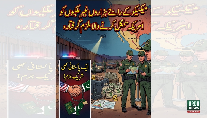 میکسیکو کے راستے ہزاروں غیر ملکیوں کو امریکہ سمگل کرنے والا ملزم گرفتار، ایک پاکستانی بھی شریک جرم !