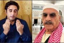 بلاول بھٹو زرداری, سلمان ظفر
