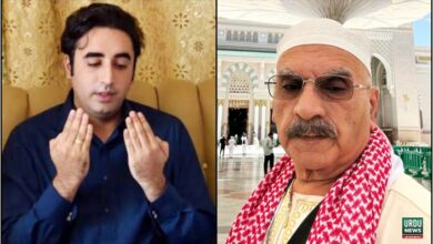 بلاول بھٹو زرداری, سلمان ظفر