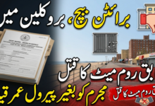 برائٹن بیچ، بروکلین میں سابق روم میٹ کا قتل، مجرم کو بغیر پیرول عمر قید