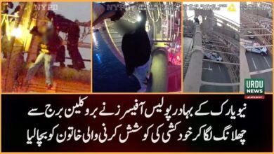بروکلین برج سے خاتون کی خودکشی کی کوشش ناکام، نیویارک پولیس کے بہادر اہلکاروں نے جان بچالی