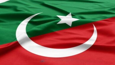 پاکستان تحریک انصاف (پی ٹی آئی)