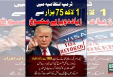 ٹرمپ انتظامیہ میں 1 لاکھ 75 ہزار سے زائد امریکی ویزے منسوخ