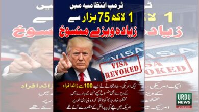 ٹرمپ انتظامیہ میں 1 لاکھ 75 ہزار سے زائد امریکی ویزے منسوخ