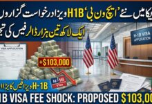 امریکا میں نئے ’ایچ ون بی‘H1B ویزا درخواست گزاروں پر ایک لاکھ تین ہزار ڈالر سے زائد فیس کی تجویز