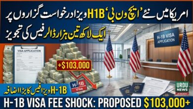امریکا میں نئے ’ایچ ون بی‘H1B ویزا درخواست گزاروں پر ایک لاکھ تین ہزار ڈالر سے زائد فیس کی تجویز