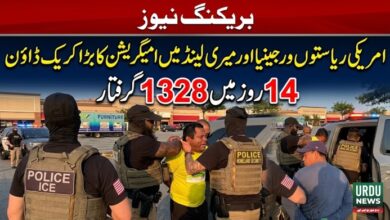 امریکی ریاستوں ورجینیا اور میری لینڈ میں امیگریشن کا بڑا کریک ڈاؤن، 14 روز میں 1328 گرفتار